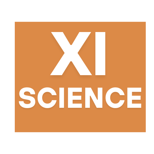 XI Science