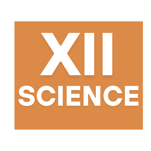 XII Science